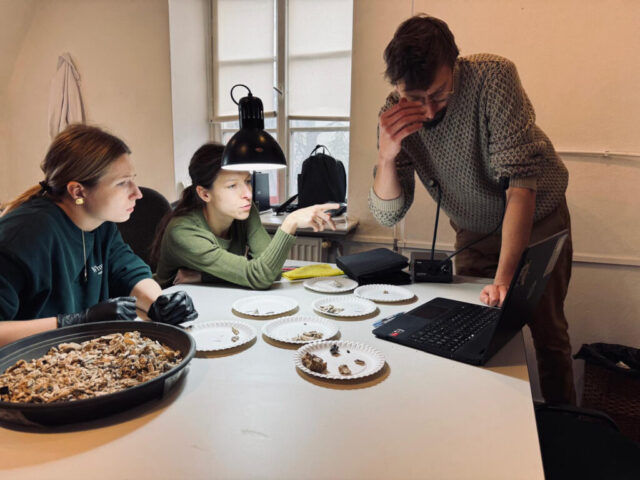 DoHa team bioarchaeologists discussing bone material and research results.