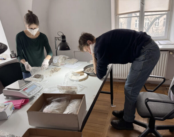 A DoHa team researcher sorting and analyzing burned bone fragments for bioarchaeological research.
