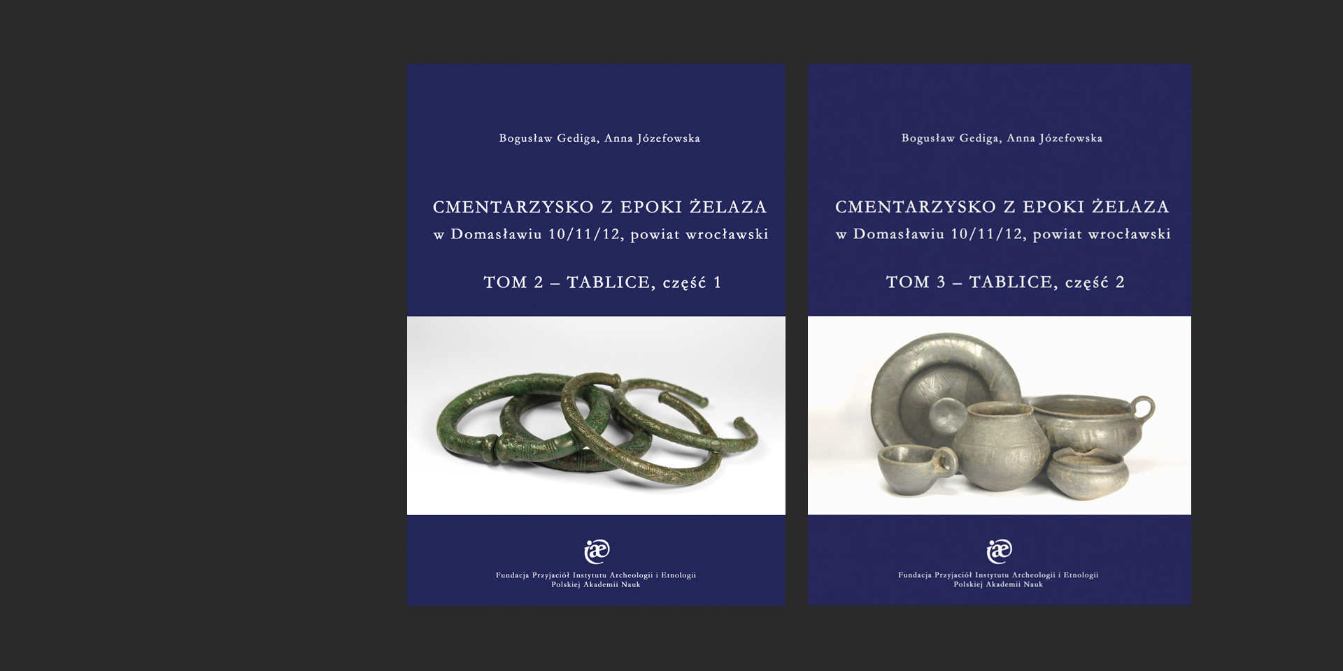 The Early Iron Age Cemetery from Domasław. Vols. 2 & 3: Plates