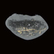 urn from Brzoza _CT scan