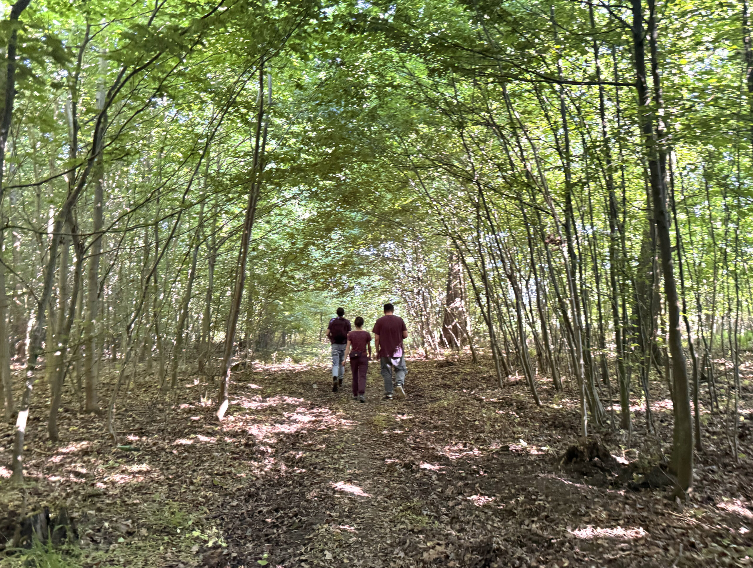 Archaeologists vs. Plants: Mapping Bioavailable Strontium around Domasław